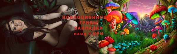 скорость Иннополис